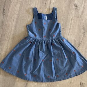 Janie and Jack chambray dress with pumpkin embroidery